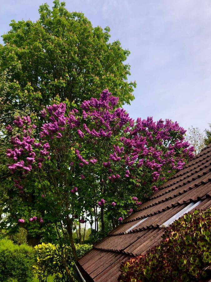 Naturparadies In Aurich Exterior foto